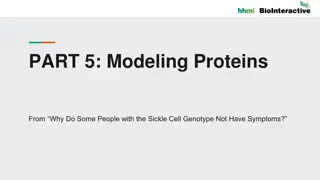 Exploring Protein Modeling in Sickle Cell Genotype