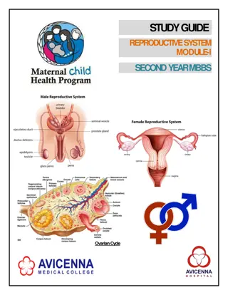 The Ovarian Cycle in Second Year MBBS - Study Guide