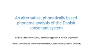 An Alternative Phonetically-Based Phoneme Analysis of the Danish Consonant System