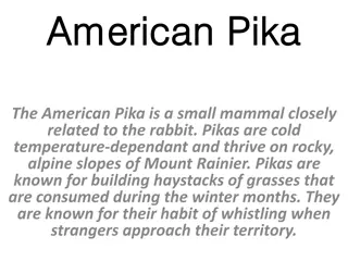 Challenges Faced by American Pikas in a Changing Climate