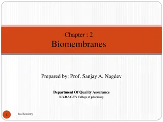 Biomembranes: Composition, Structure, and Functions