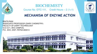 Understanding Enzyme Action: Mechanisms and Models