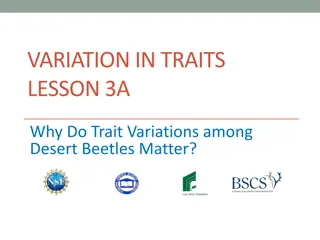 Importance of Trait Variations in Desert Beetles