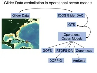 Operational Ocean Modeling and Forecasting Systems