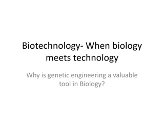 Exploring Genetic Engineering and DNA Fingerprinting in Biotechnology