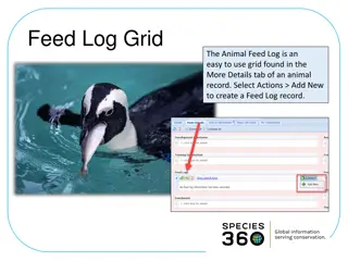 Efficient Animal Feed Log Grid for Easy Record Keeping