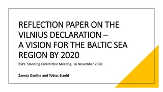 Reflection on Vilnius Declaration: A Vision for the Baltic Sea Region by 2020