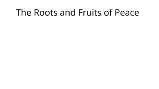 The Roots and Fruits of Peace - A Visual Journey