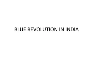 The Blue Revolution: Transforming India's Fisheries Sector