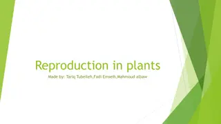 Reproduction in Plants: Types, Processes, and Examples