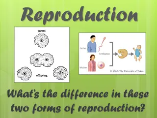 Asexual Reproduction and Passing of Traits