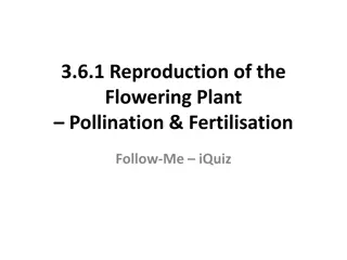 Flowering Plant Reproduction: Pollination, Fertilisation, and more