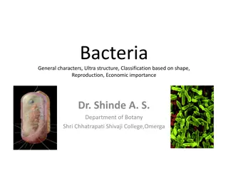 Bacteria: General Characteristics and Economic Importance