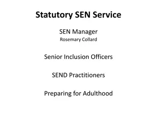 Comprehensive SEN Support System Overview