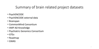 Overview of Major Brain Research Datasets and Consortia