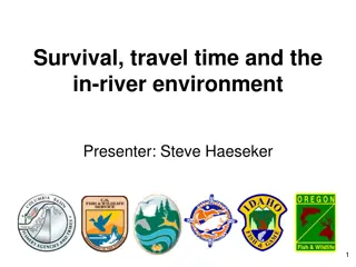 Understanding Fish Migration Dynamics in River Environments