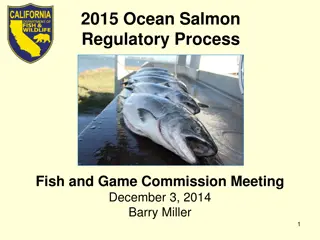 Ocean Salmon Regulatory Process and Sport Fishery Timeline