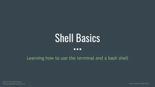 Shell Basics for Effective Command Line Usage