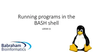 Understanding Running Programs in the BASH Shell