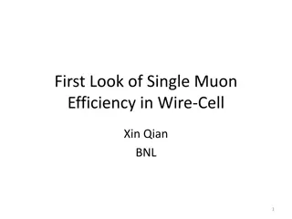 Insights into Muon Tracking Efficiency in Wire-Cell Research