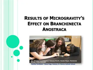 Lessons Learned from Microgravity Experiment on Branchinecta Anostraca Co.