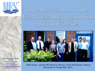 Preliminary Assessment of East Coast Shrimp Fisheries