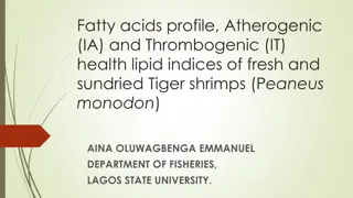 Fatty Acids Profile and Health Lipid Indices of Tiger Shrimps