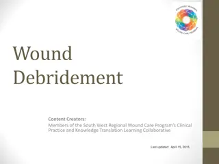 Necrotic Tissue and Debridement in Wound Care