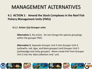 Reef Fish Fishery Management Alternatives Overview