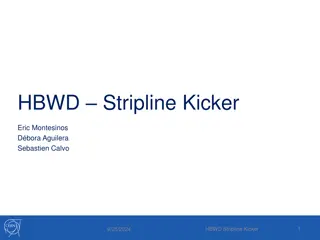 HBWD Stripline Kicker Integration Details