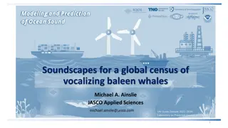 Insights on Vocalizing Baleen Whales: A Global Census Study