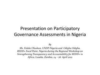 Challenges and Opportunities in Participatory Governance Assessments in Nigeria