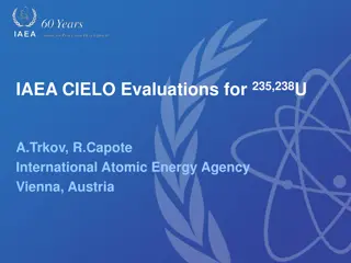 IAEA CIELO Evaluations for Uranium Isotopes & Criticality Benchmarks Report