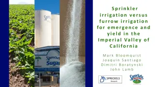 Comparative Study of Sprinkler Irrigation vs. Furrow Irrigation for Sugar Beet Production in Imperial Valley, California