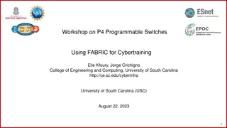 Workshop on P4 Programmable Switches Using FABRIC for Cybertraining - University of South Carolina