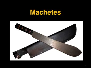 The Versatile Machete: History, Uses, and Safety Concerns