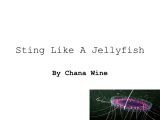 Discovering the Wonders of Jellyfish: A Comprehensive Guide