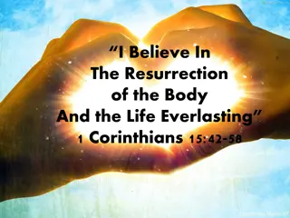 The Resurrection of the Body: 1 Corinthians Explained