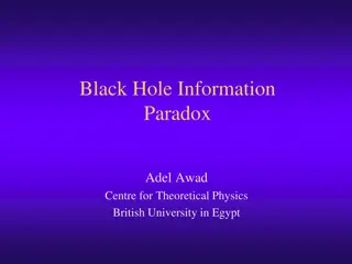 The Black Hole Information Paradox