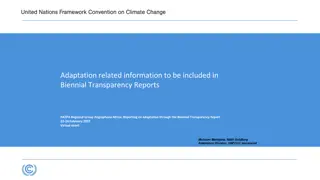 Reporting on Adaptation in Biennial Transparency Reports: Insights from Anglophone Africa