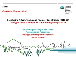 Developing NRW's People and Teams Strategy (2016-20)