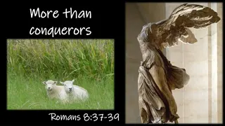 More Than Conquerors - Romans 8:37-39 Reflections