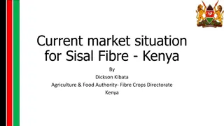 Current Sisal Fibre Market Situation in Kenya