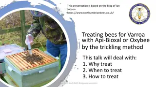 Treating Bees for Varroa: Api-Bioxal and Oxybee Methods by Trevor Smith