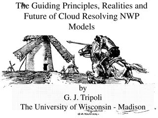 Evolution and Challenges in Cloud Resolving NWP Models