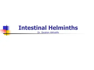 Intestinal Helminths: Classification, Nematodes, and Common Infections