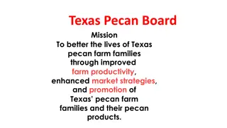 Texas Pecan Board Enhancing Pecan Farming and Market Promotion