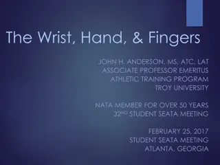 Comprehensive Evaluation of the Wrist, Hand, and Fingers