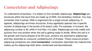 Chromatin and Adipiscings in Cell Biology