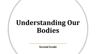 Exploring Our Bodies: A Second Grade Guide